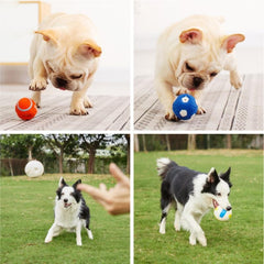 Squeaky Dog Toys